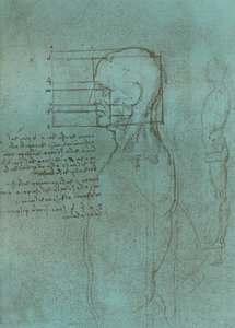 Rysunek ilustrujący teorię proporcji postaci ludzkiej, c1472-c1519 1883. autorstwa Leonardo da Vinci