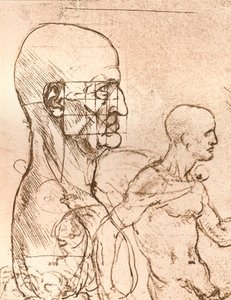 Rysunek ilustrujący teorię proporcji postaci ludzkiej, c1472-c1519 1883 autorstwa Leonardo da Vinci