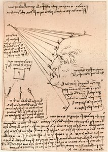Rysunek męskiej głowy, ilustrujący praktykę malarską, c1472-c1519 1883 autorstwa Leonardo da Vinci
