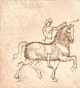 Rysunek chodzącego konia, c1472-c1519 1883 autorstwa Leonardo da Vinci