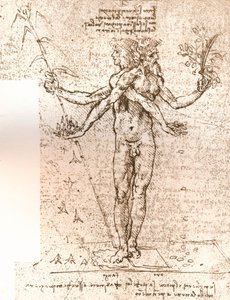 Rysunek kompozycji alegorycznej, c1472-c1519 1883 autorstwa Leonardo da Vinci