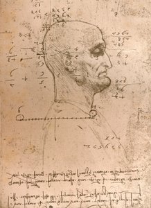 Rysunek głowy przestępcy, c1472-c1519 1883 autorstwa Leonardo da Vinci