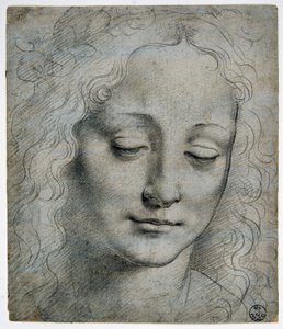 Giovanni Antonio Boltraffio (Beltraffio) (1467 - 1516) (najbardziej znany uczeń Leonarda da Vinci): głowa chłopca korona z liści na drodze Verrocchio, GDSU 425 E autorstwa Leonardo da Vinci