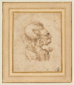 Groteskowa głowa starej kobiety autorstwa Leonardo da Vinci