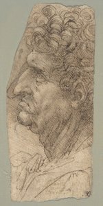 Głowa mężczyzny widziana z profilu, zwrócona w lewo autorstwa Leonardo da Vinci