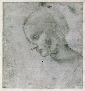 Jaunos moters galva arba Mergelės galva, apie 1490 m. (sidabrinis taškas popieriuje)poli autorstwa Leonardo da Vinci