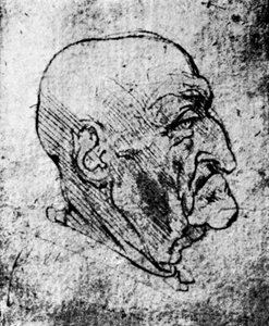 Głowa starego człowieka, 1913 autorstwa Leonardo da Vinci