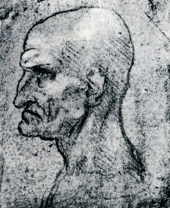 Głowa starego człowieka, 1913 autorstwa Leonardo da Vinci