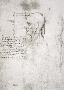 Głowa starego człowieka w profilu, kopia faksymile (pióro i atrament na papierze) autorstwa Leonardo da Vinci