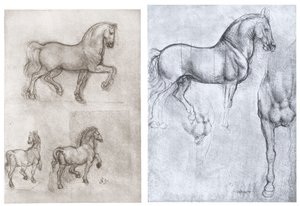 Konie, c1490-1510 autorstwa Leonardo da Vinci