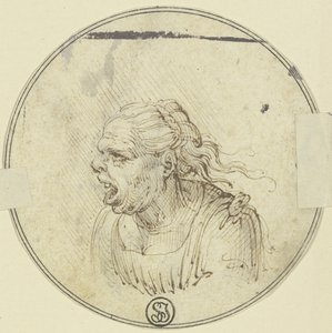 Karykatura kobiety z otwartymi ustami, portret od pasa w górę, w profilu w lewo autorstwa Leonardo da Vinci