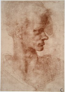 Leonardo da Vinci (Leonardo da Vinci) (1452 - 1519): Karykaturalny portret młodego mężczyzny (Imagine) autorstwa Leonardo da Vinci