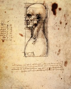 Głowa mężczyzny w profilu z proporcjami autorstwa Leonardo da Vinci