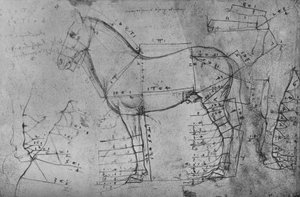 Mierzony rysunek konia w profilu w lewo, c1480 1945 autorstwa Leonardo da Vinci