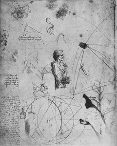 Profil starego człowieka, rośliny, figury geometryczne itp., c1480 1945 autorstwa Leonardo da Vinci