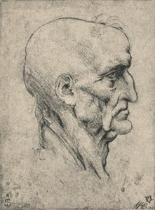 Profil po prawej stronie starszego łysego mężczyzny, c1480 1945 autorstwa Leonardo da Vinci