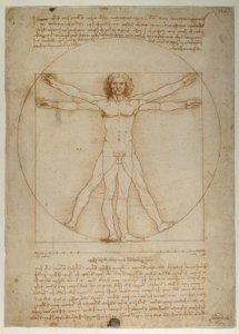 Schemat proporcji sylwetki ludzkiej według Witruwiusza autorstwa Leonardo da Vinci