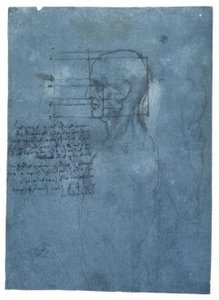 Studium proporcji głowy mężczyzny z profilu autorstwa Leonardo da Vinci