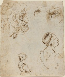 Arkusz studiów [recto] autorstwa Leonardo da Vinci