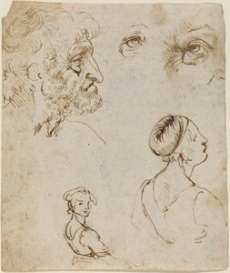 Arkusz badań [recto] autorstwa Leonardo da Vinci
