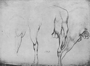 Badania nóg koni, ok. 1480 1945 r autorstwa Leonardo da Vinci