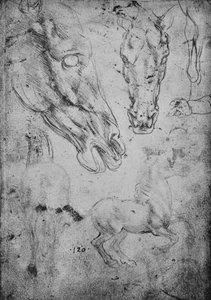 Badania koni i głów koni, ok. 1480 1945 r autorstwa Leonardo da Vinci