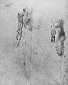 Studia nagiego mężczyzny widzianego z tyłu iz boku, ok. 1480 1945 r autorstwa Leonardo da Vinci