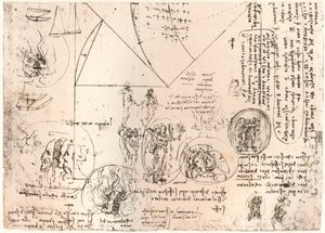 Studia emblematów, c1472-c1519 1883 autorstwa Leonardo da Vinci