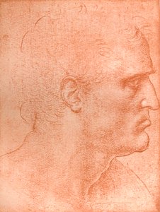 Studium dla głowy św. Mateusza w „Ostatniej Wieczerzy”, c1494-c1499 1883. autorstwa Leonardo da Vinci