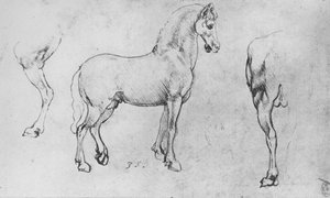 Studium konia, jego bliższej tylnej łapy i tylnych ćwiartek, ok. 1480 1945 r autorstwa Leonardo da Vinci