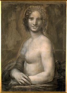 Studium kobiecego aktu prawdopodobnie obnażonego popiersia Mona Lisy zakłada Mona Lisę (lub Monna Lisę). Rysunek na brązowym papierze z czarnym kamieniem ze szkoły Leonarda de Vinci (Leonardo da Vinci) (1452-1519) wym. 0,72 x 0,54 m. Chantilly, Muzeum Cond