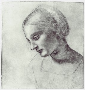 Głowa Madonny, c1484-1486 autorstwa Leonardo da Vinci