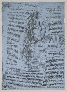Serce i tętnice oskrzelowe, faksymile książki Windsora (pióro i tusz na papierze) autorstwa Leonardo da Vinci