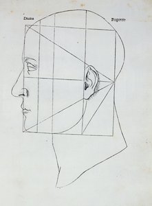 Głowa ludzka, ilustracja do „Divina Proportione” Luca Pacioli (1445-1517), 1509 autorstwa Leonardo da Vinci