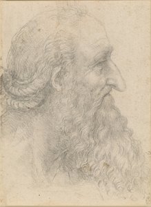 Głowa starego brodatego mężczyzny, ok. 1517 r. autorstwa Leonardo da Vinci