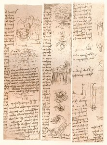 Trzy rysunki, c1472-c1519 1883 autorstwa Leonardo da Vinci