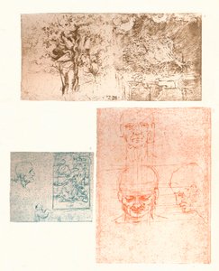 Trzy rysunki, c1472-c1519 1883 autorstwa Leonardo da Vinci