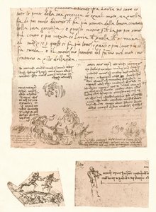 Trzy rysunki, c1472-c1519 1883 autorstwa Leonardo da Vinci