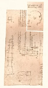 Dwa rysunki ilustrujące teorię proporcji postaci ludzkiej, c1472-c1519 1883 autorstwa Leonardo da Vinci