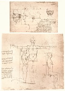 Dwa rysunki ilustrujące teorię proporcji postaci ludzkiej, c1472-c1519 1883. autorstwa Leonardo da Vinci