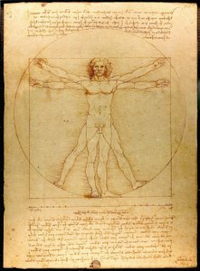 Człowiek witruwiański autorstwa Leonardo da Vinci