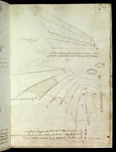 Skrzydło. Latająca maszyna rysunek. Rękopis Leonarda De Vinci (Leonardo da Vinci autorstwa Leonardo da Vinci