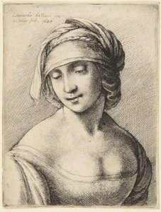 Kobieta w kominie autorstwa Leonardo da Vinci