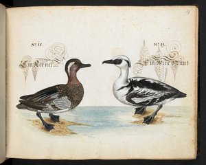 Dodaj MS 6485