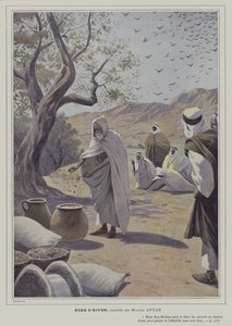 Ilustracja z opowiadania Michela Antara Rose d