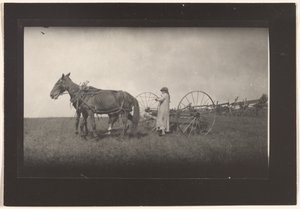 [Scena na farmie, Massachusetts]. autorstwa Lewis W. Hine