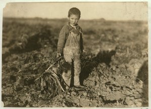 6-letnia Jo ciągnąca buraki cukrowe na farmie niedaleko Sterling, Kolorado, 1915 autorstwa Lewis Wickes Hine
