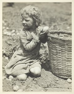 Praca dzieci na farmie autorstwa Lewis Wickes Hine
