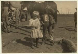 Zbieracz bawełny w wieku 4 lat, który regularnie zbiera 15 funtów dziennie, i 7 lat, który zbiera 50. Przenoszą się z farmy na farmę i mieszkają w emigrantach, McKinney, Teksas, 1913 autorstwa Lewis Wickes Hine