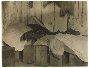 Schronisko De Marco dla zbieraczy żurawiny w Forsythe